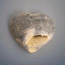 Natural Polished Blue Coral Jade Heart 52 grams - USA