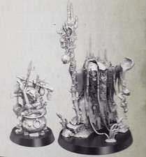 Swampcalla Shaman Sumpfrufa mit Pot Grot AOS ...