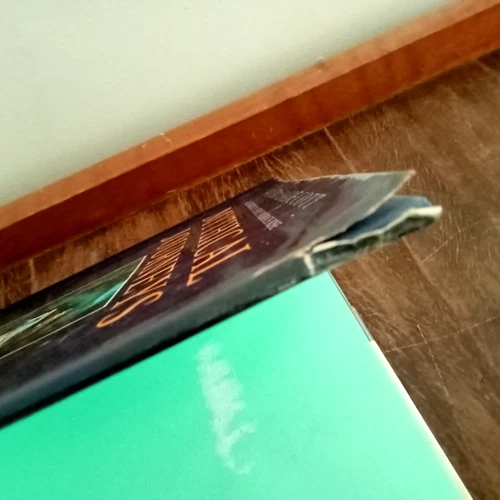 Mythical Journeys Legendary Quests Moyra Caldecott Hardcover Exlibrary mythology - Picture 6 of 9