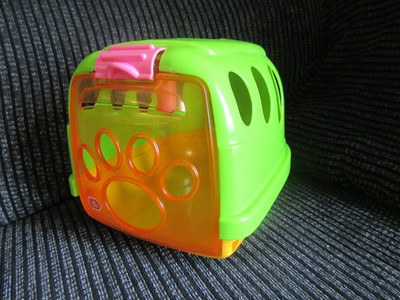 brachycephalic obstructive airway syndrome