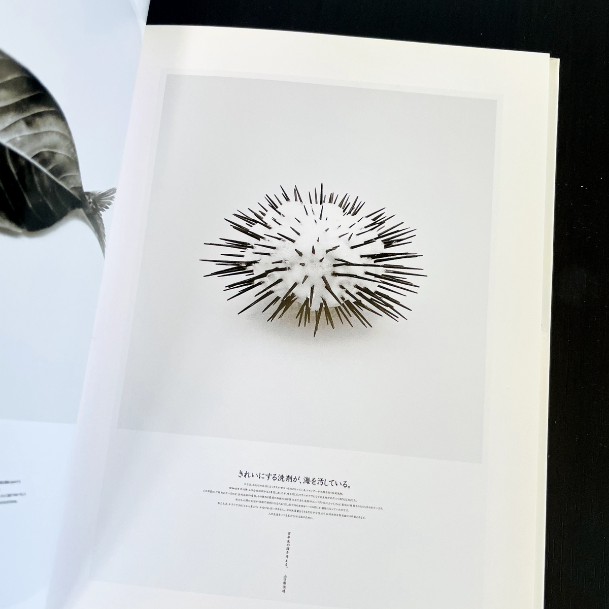 Norito Shinmura ggg Books Vol.94 World Graphic Design Series 94