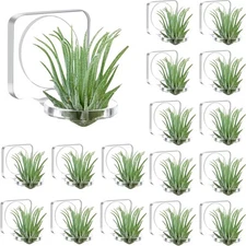 Jetec 24 Pcs Air Plants Holder, Acrylic Plant Hanger with Mounting Clear 