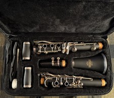 Clarinetto Roy Benson CB-217