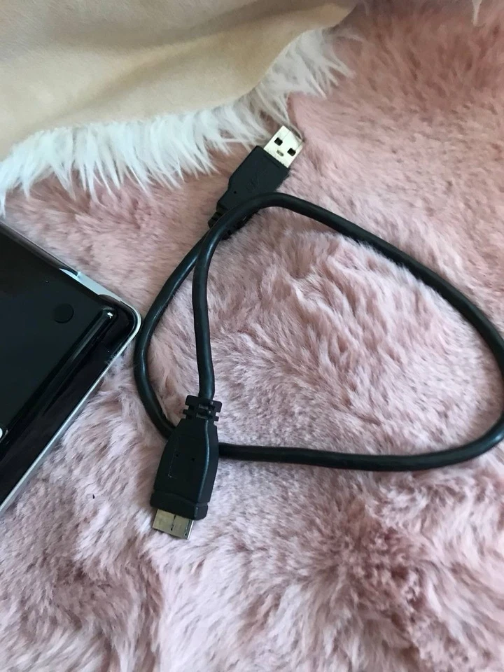 externe Festplatte der Marke Iomega, Modell eGo - Bild 2 von 4