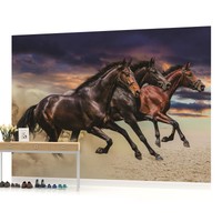 Horse Girls Teenager Photo Wallpaper Wall Mural Room - 1217veve Horse Girls Teenager Photo Wallpaper Wall Mural Room - 1217veve