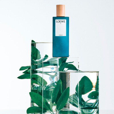 Loewe 7 Cobalt 50 / 100 ml Eau de Parfum | eBay