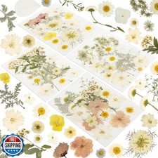 186 Pcs Dried Pressed Flowers for Resin Crafts, Real Natural Pressed Flowers