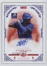 2022 Onyx Vintage Auto Blue Ink Nazier Mule #VANA Auto 0jk5