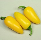 Foto 5 di 8