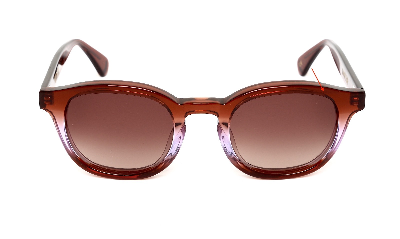 Wildfox Smart Fox Women's Brown Square Sunglasses R2169 image 5