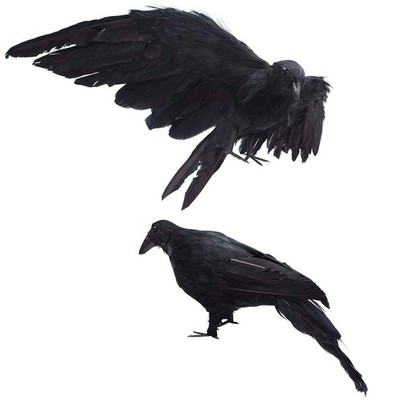 2-Pack Realistic Crows Lifesize Extra Large Handmade Black Feathered Crow for...