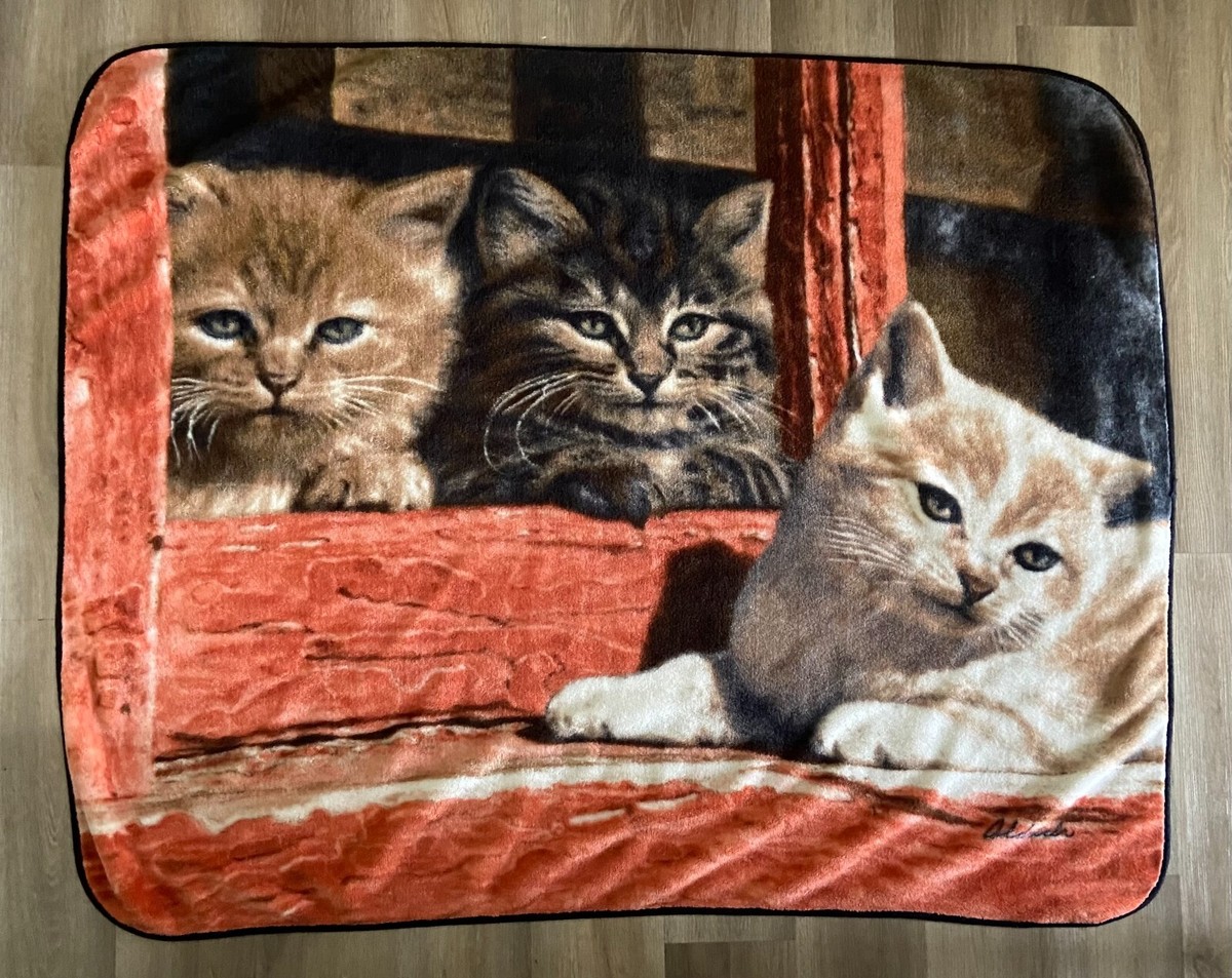 Fleece Kittens Cats in Window Throw Blanket Loftex Woodland