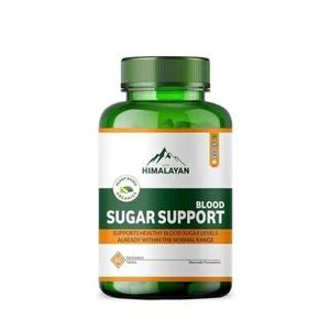 BLOOD SUGAR SUPPORT SUPPLEMENTS- Contrôle naturel du glucose & Régulateur du sang