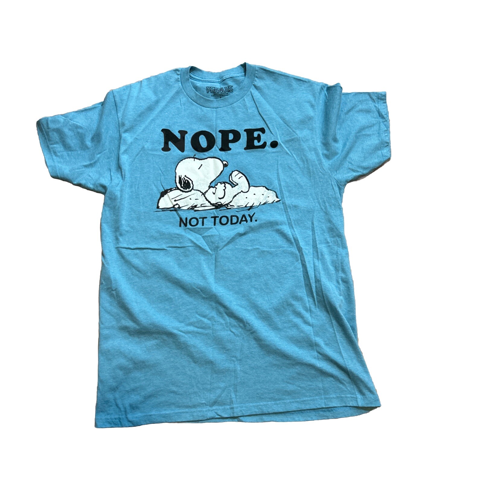 Men's Snoopy Nope Not Today Graphic Tee in Light Blue