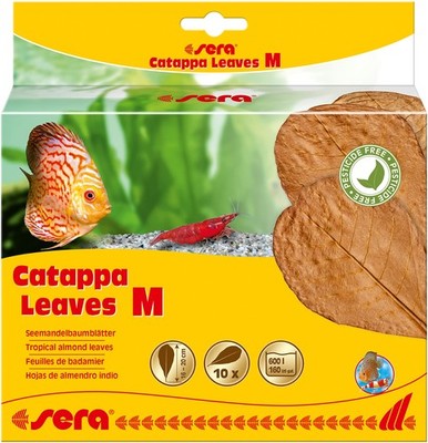 Catappa Leaves  Seemandelbaumblätter für die natürliche Wasseraufbereitung, M...