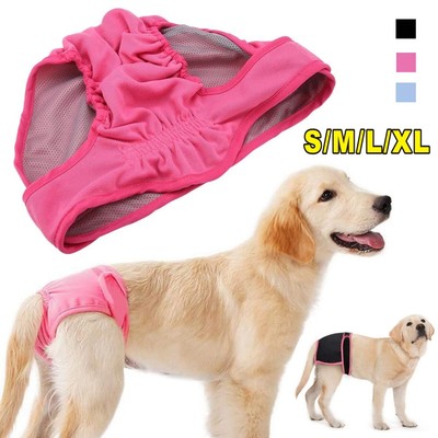 dachshund season pants