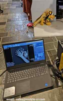Equine Portable Veterinary DR panel