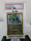 PSA 7 - RAYQUAZA-HOLO - BLACK STAR PROMOS #XY64 - 2015 POKEMON XY