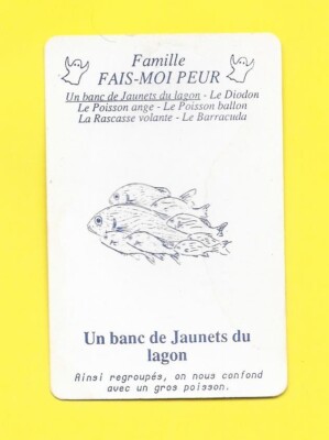 Card - Scare Me - A Bank of Lagoon Yellowheads