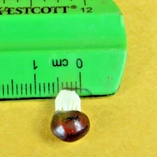 Lot of 4 -  Lucky Elephant Seed Bean 6 Tiny "Carved" Elephants Inside Vintage