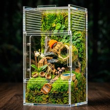 Jumping Spider Enclosure - Acrylic Terrarium Habitat for Spiders 3x3x6 inch