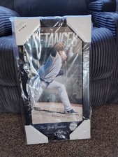 dellin betances picture yankees