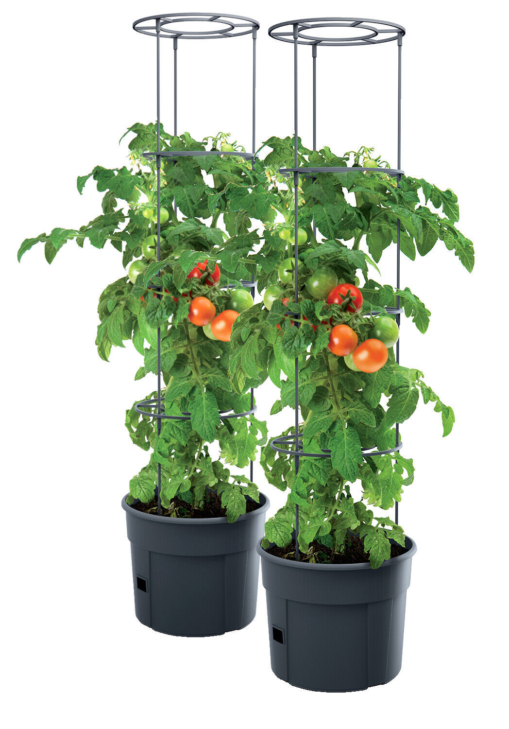 2x vaso per piante di pomodoro PAFEN vaso per piante di pomodoro 12L giardino