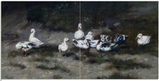 Tile Mural Duck Bird Farm Yard G. Vastagh Kitchen Wall Backsplash Marble Ceramic