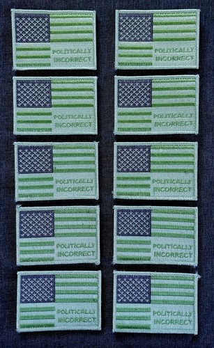 Lot of 10 POLITICALLY INCORRECT USA American Flag Patches ~ Green Hook & LOOP - Picture 2 of 6