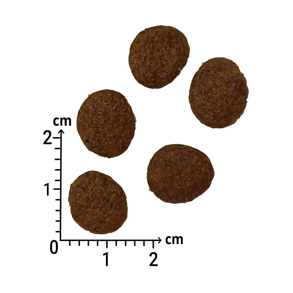 Hundefutter 12 kg Wolfsmond Lachs mit Forelle Getreidefrei Frisch Trockenfutter - Bild 2 von 2