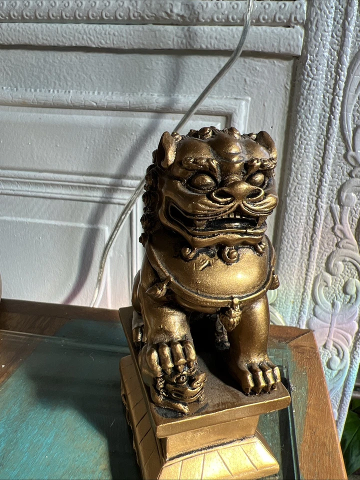 Foo Dogs 金色公头女式 Avail — 第 2/4 张图片