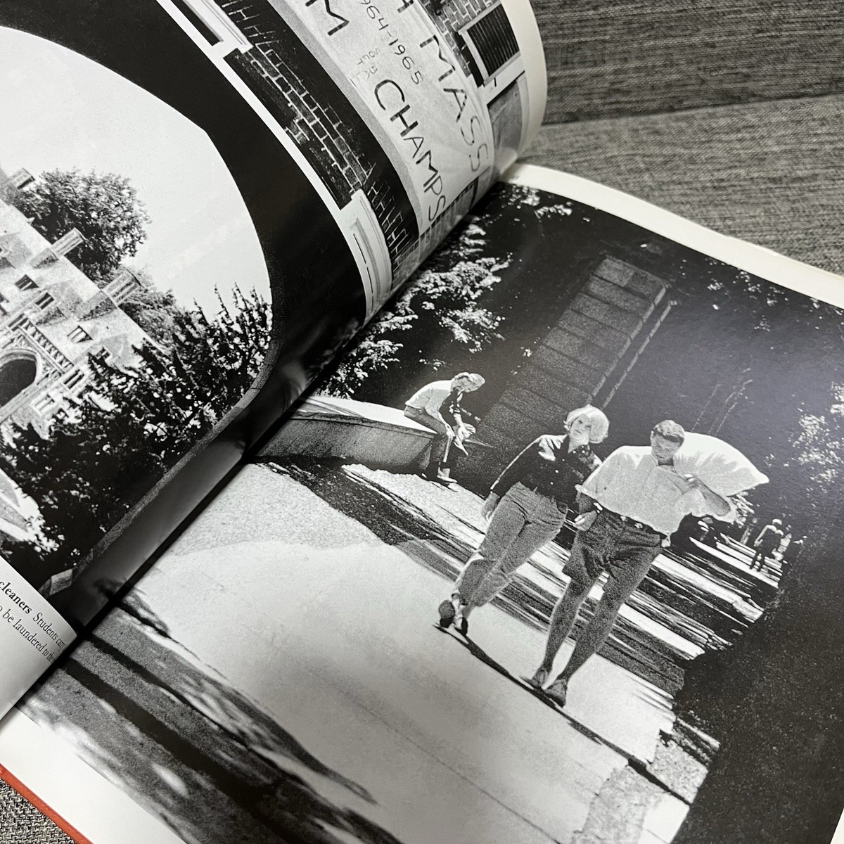 Take Ivy 2010 American Edition T. Hayashida English Powerhouse