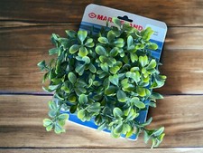 Marineland Boxwood Plant Mat 