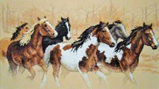 Dimensions Counted Cross Stitch Kit 35104 - Wild Rush - Horses