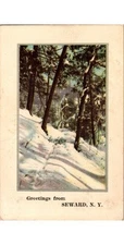 Seward NY Postcard Winter Woodland Scene 1913 Schoharie Cty what a bore