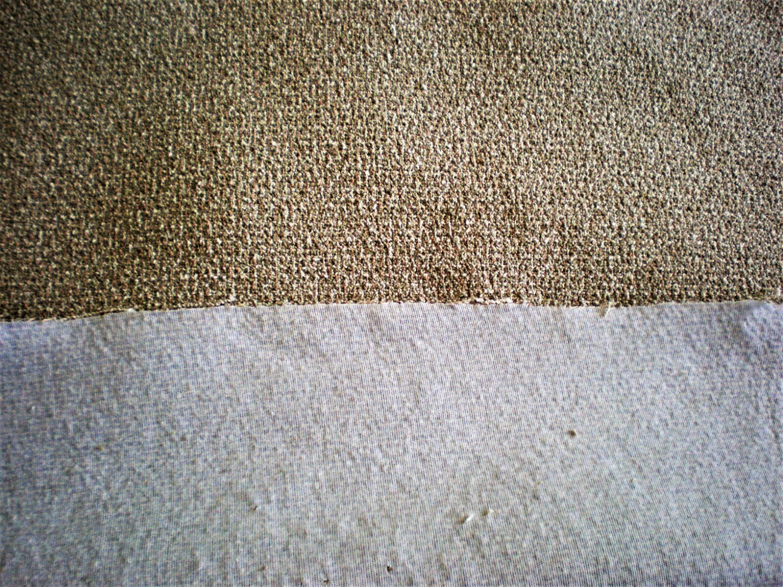 Picture 6 of 6