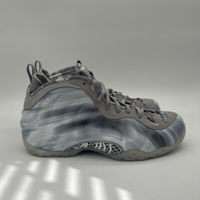 Nike Air Foamposite One QS Dream a World Grey DM0115-001 Mens Size 10 No Lid