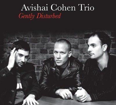 Avishai Trio Cohen - Gently Disturbed