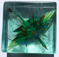 Ikran im Kunstharzblock aus der welt von Avatar -Handgemacht 