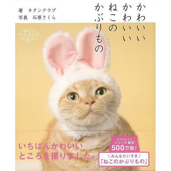 Cute Cat Headgear Book Hardcover Toys Collection For Ages 14+