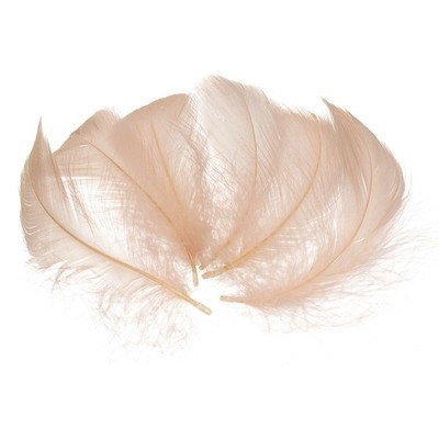 300 Pcs Light Brown Craft Feathers, 2-4 Inch Colored Fluffy Feathers