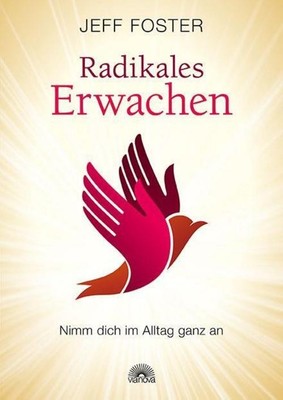 Jeff Foster Radikales Erwachen