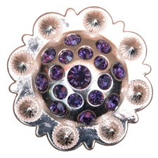 1.5 Inch HILASON Western Screw Back Purple Crystals Berry Concho Saddle Tack