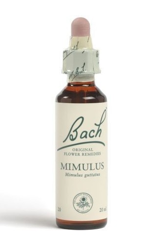 BACH FLOWER REMEDY 10ML // ALL 38 AVAILABLE // ORIGINAL FORMULAS + FREE SHIPPING - Picture 22 of 40