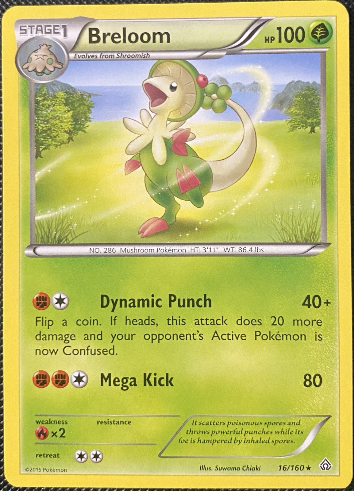 Breloom 16/160 XY - Primal Clash Regular - Pokémon Card