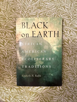 Black on Earth by Kimberly N. Ruffin - paperback - first edition 