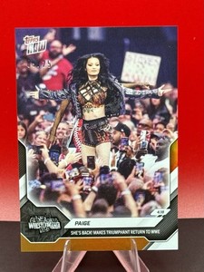 Paigeさん専用 Paige WWE | eBay