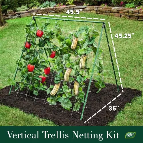 Dalen Vertical A-Frame Plant Support Trellis - Thumbnail 2