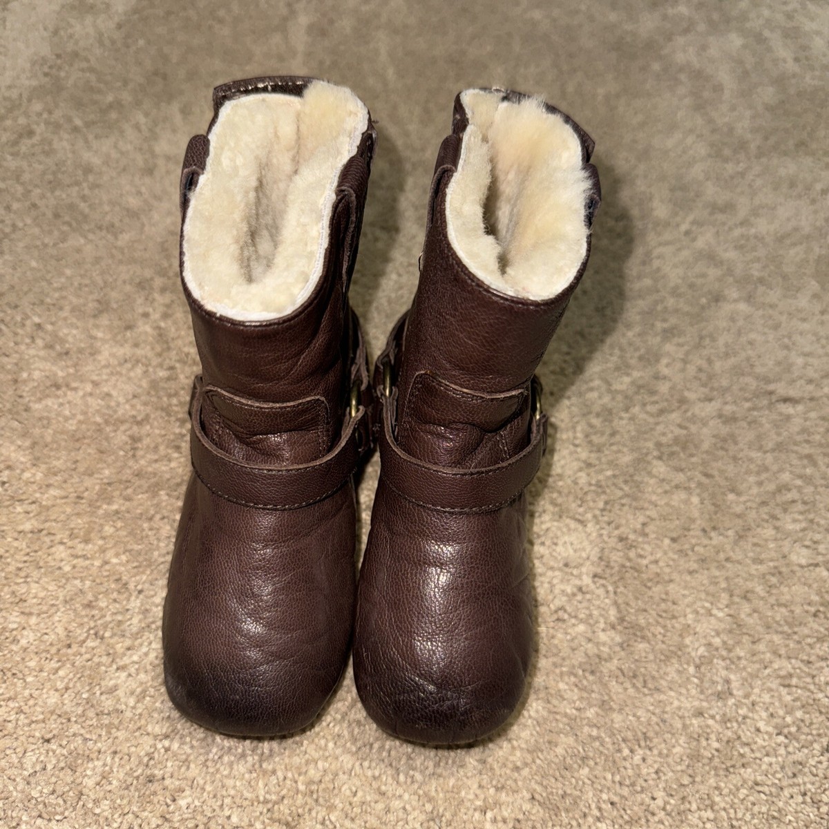 Frye 249074 Infant/Toddler Harness Leather Bootie Shearling Dark