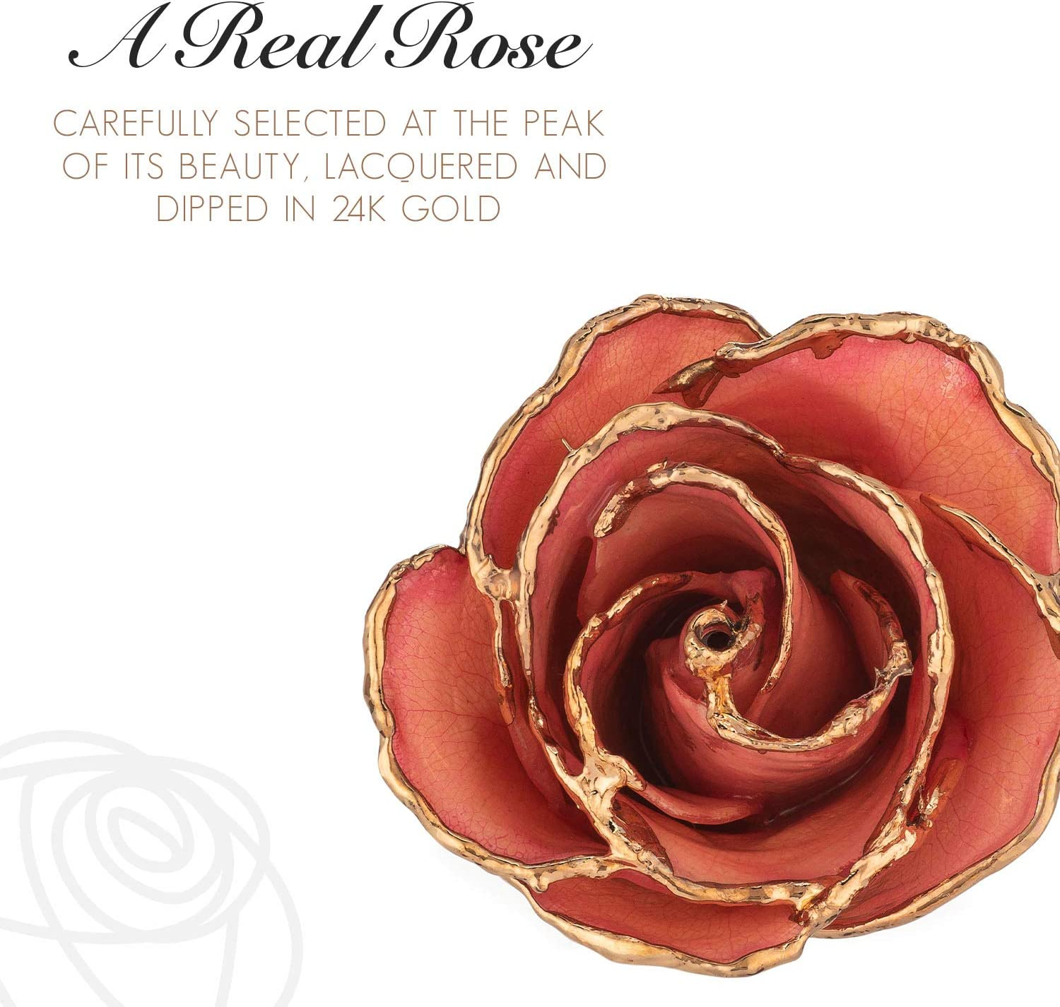 Forever Rose Real Pink Rose, Genuine One of a Kind Rose Hand Dipped in